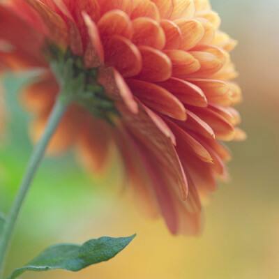 鞍山房产网下载